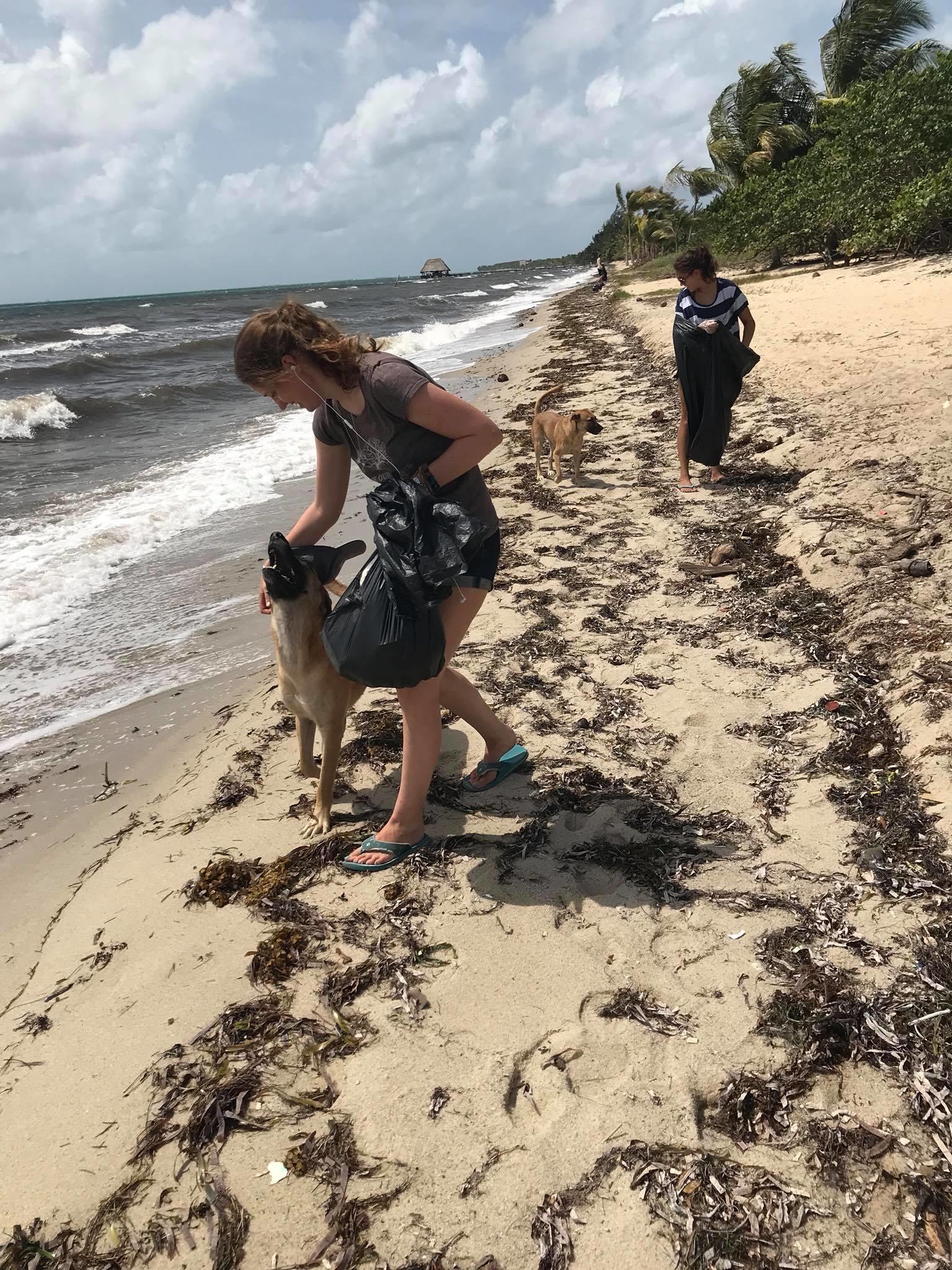 Marine conservation work in Belize for groups beach cleanup Projects Abroad Conservation volunteering for groups in Belize beach cleanup